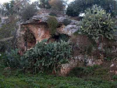 Torniamo su via Lame e proseguiamo fino all'incrocio con via Schiattona, approdando cos� in contrada Pozzo San Benedetto. Proprio l� vicino adocchiamo una grotta con due aperture, coperta da una rigogliosa pianta di fichi: � una delle tante cavit� della zona, probabilmente abitata sin dalla Preistoria